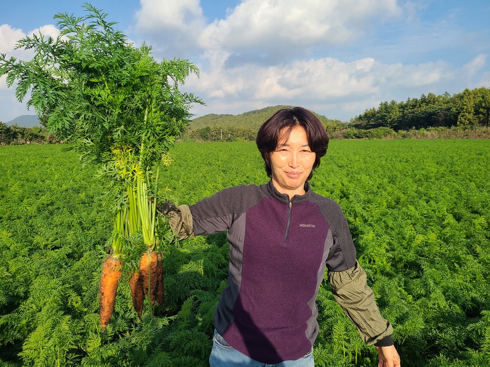 제주 유기농 흙당근 특/상/중 혼합