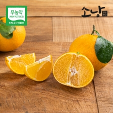 하우스 무농약 황금향 대중소과 혼합