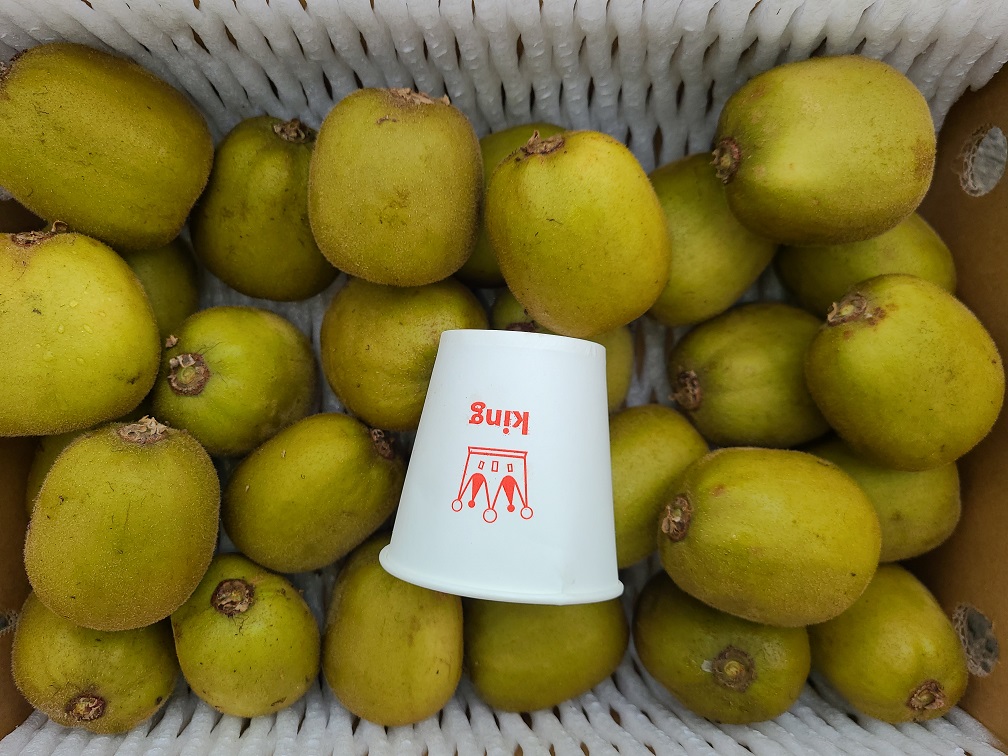 제주 레드키위 중대과 혼합 3Kg, 5Kg